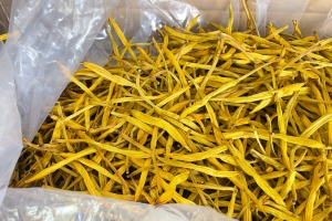 情系家乡雁城 助力乡村振兴