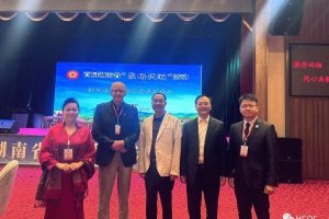 随湖南省“聚侨兴湘”活动考察团走进向家村